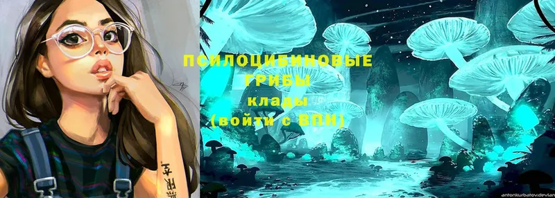 Галлюциногенные грибы Magic Shrooms  магазин  наркотиков  ОМГ ОМГ рабочий сайт  Малоярославец 